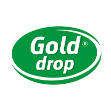 Gold drop