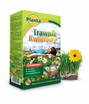 PLANTA TRAWNIK KWIATOWY 0,5kg TRAWA Z KWIATAMI POLNYMI KWIETNA ŁĄKA