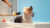 DULUX EASYCARE Kuch.&Łaz odcienie żółtego 2,5L