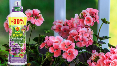 COMPO NAWÓZ DO ROŚLIN BALKONOWYCH PELARGONII SURFINII PETUNII PŁYNNY 1,3L